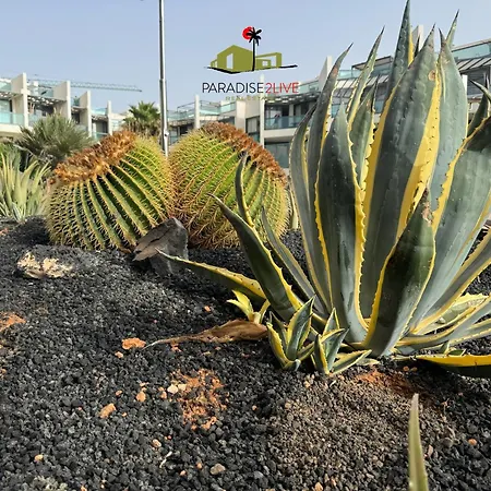 公寓 Cactusvibes *