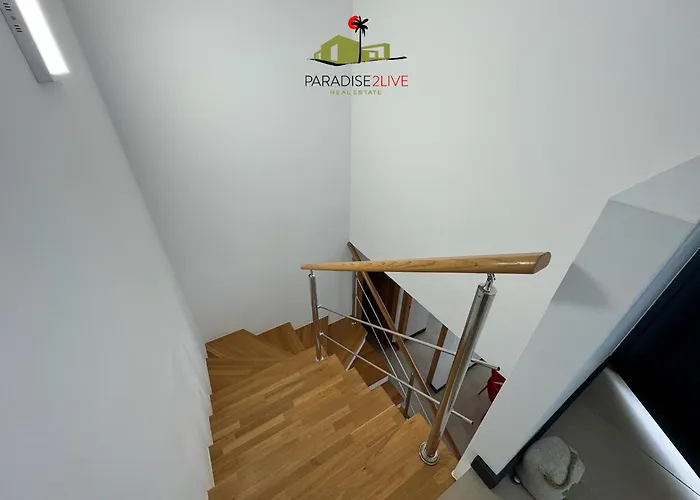 Cactusvibes * Cotillo