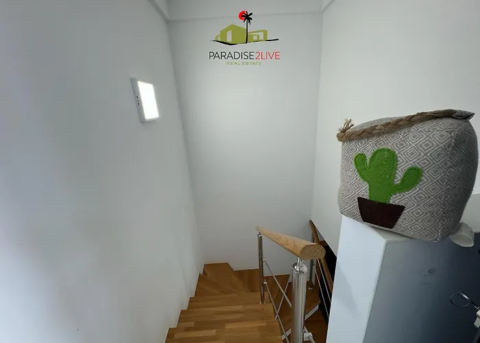 Cactusvibes * Cotillo