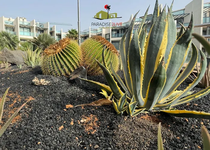 アパート Cactusvibes *