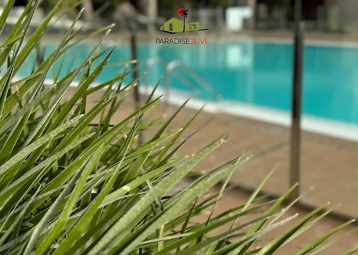 アパート Cactusvibes Cotillo