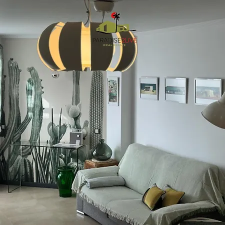 Cactusvibes * Cotillo