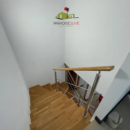 Cactusvibes * Cotillo