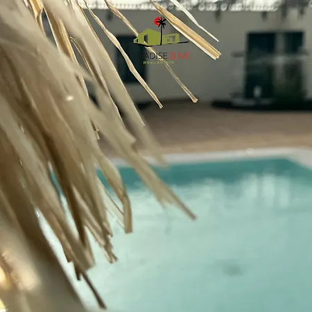 Lejlighed Cactusvibes *