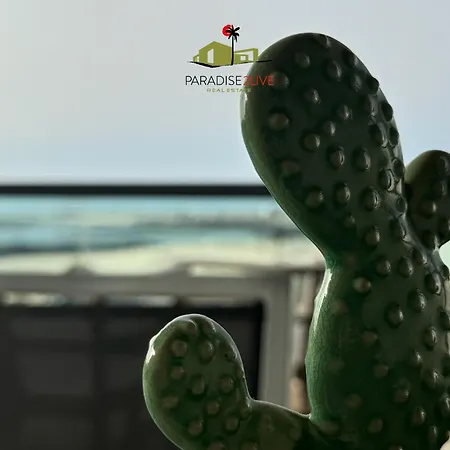 Cactusvibes アパート Cotillo