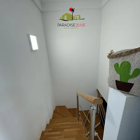 Cactusvibes * Cotillo