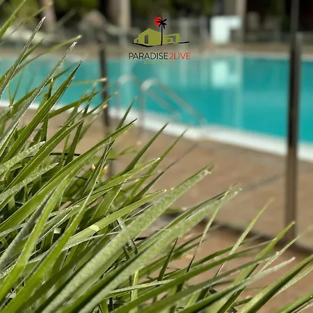 דירה Cactusvibes Cotillo
