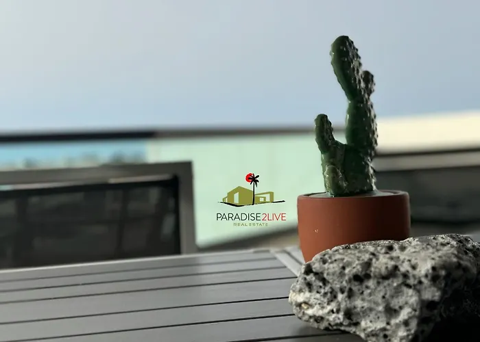 Appartement Cactusvibes